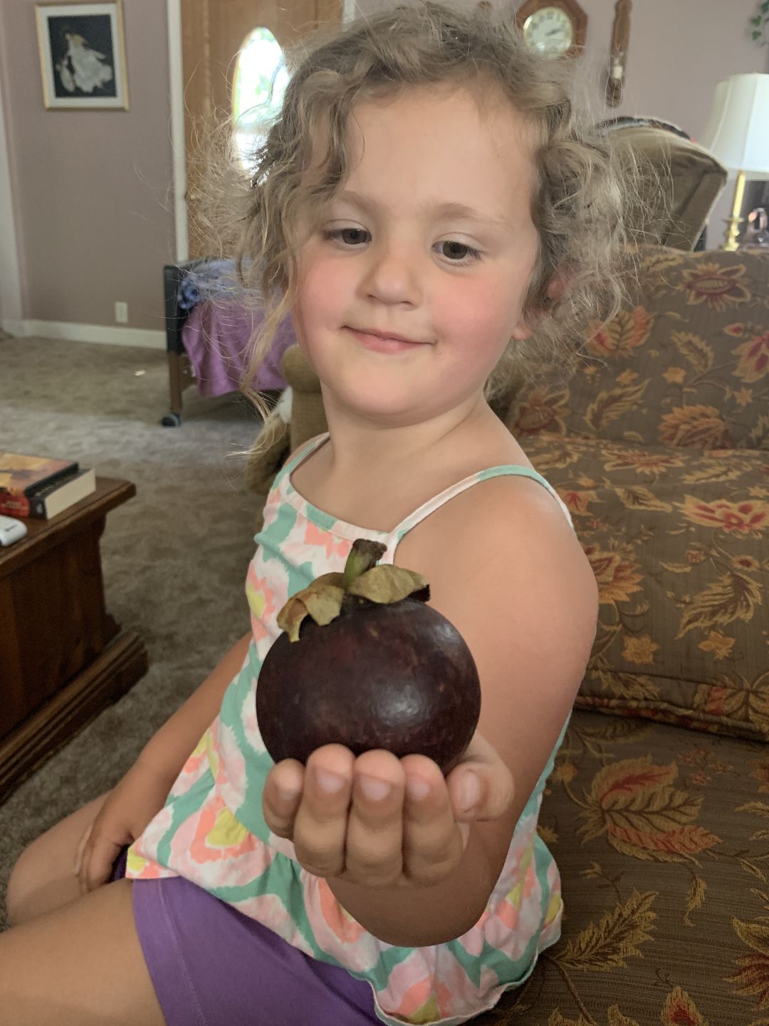 Customer photo review of Mangosteen Box *Pre-Order*