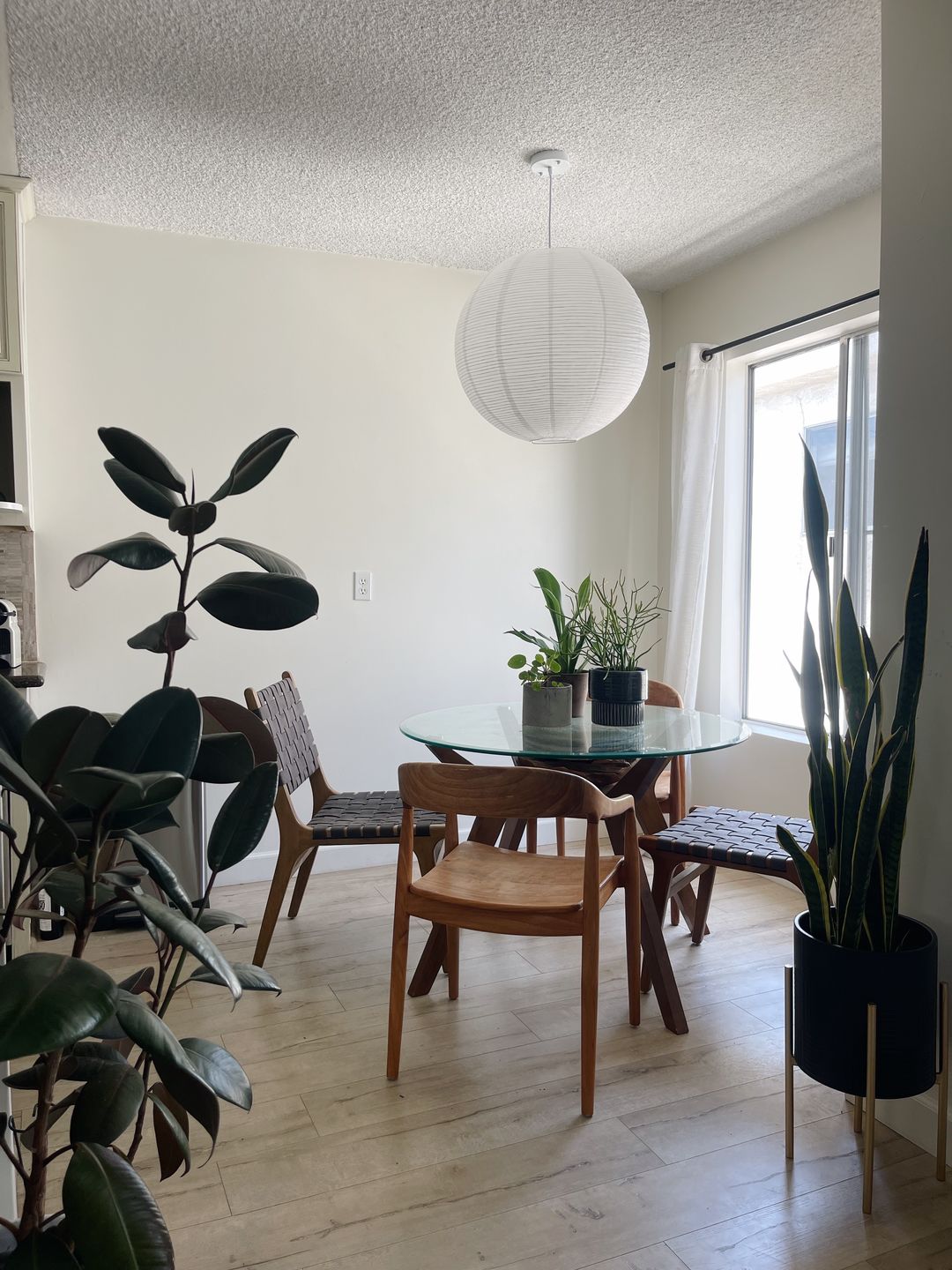 Customer photo review of 24" White Fine Line Premium Even Ribbing Paper Lantern, Extra Sturdy