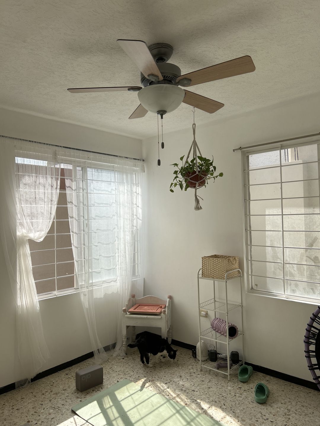 Customer photo review of Ventilador de Techo Swanson con Luz LED 44 Pulgadas