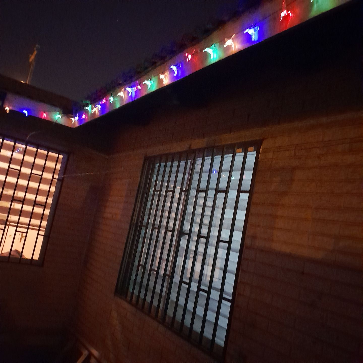 Customer photo review of Colibrís Solares - IP65 Luz Cálida/Colores Largo 5 m