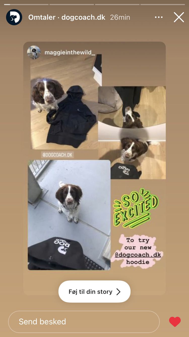 Customer photo review of Hundelufter Hoodie 2.0 | Unisex | Sort | Luna