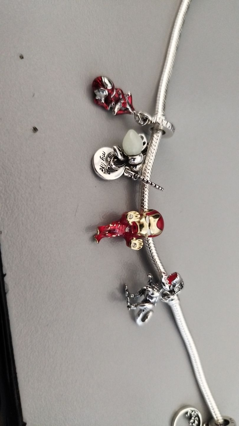 Customer photo review of Charm T-Rex