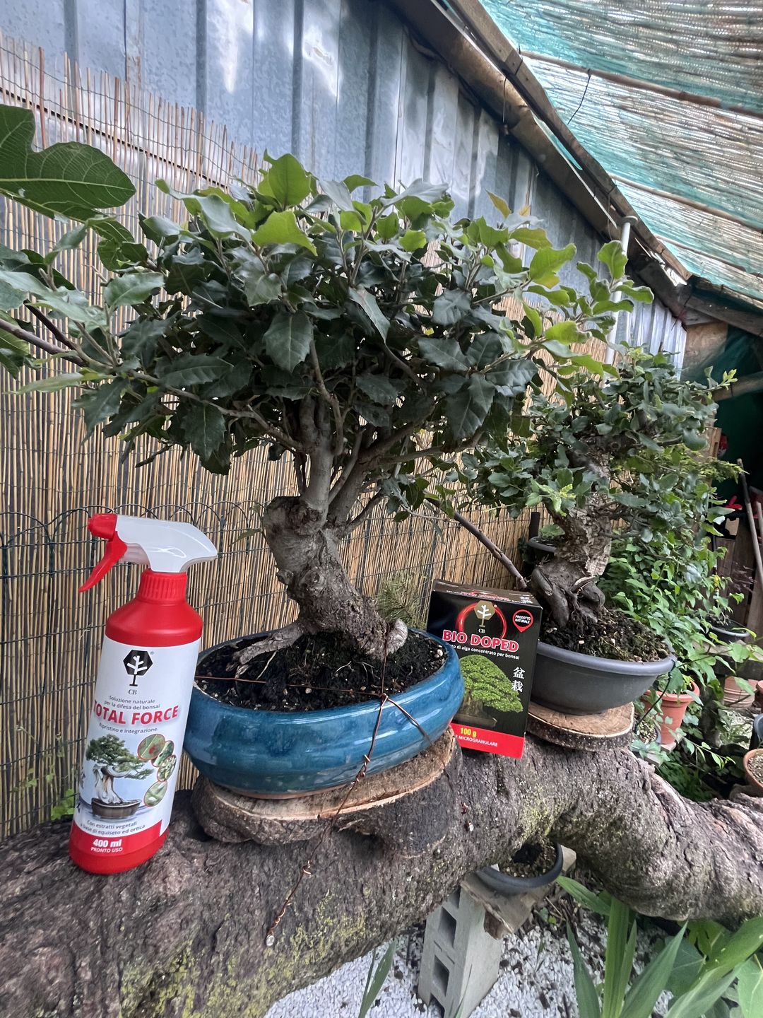 Customer photo review of TOTAL FORCE CB® (AFIDI, COCCINIGLIA, RAGNETTO ROSSO, MAL BIANCO)