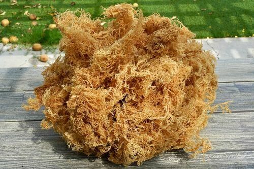 Customer photo review of Bulk Sea Moss