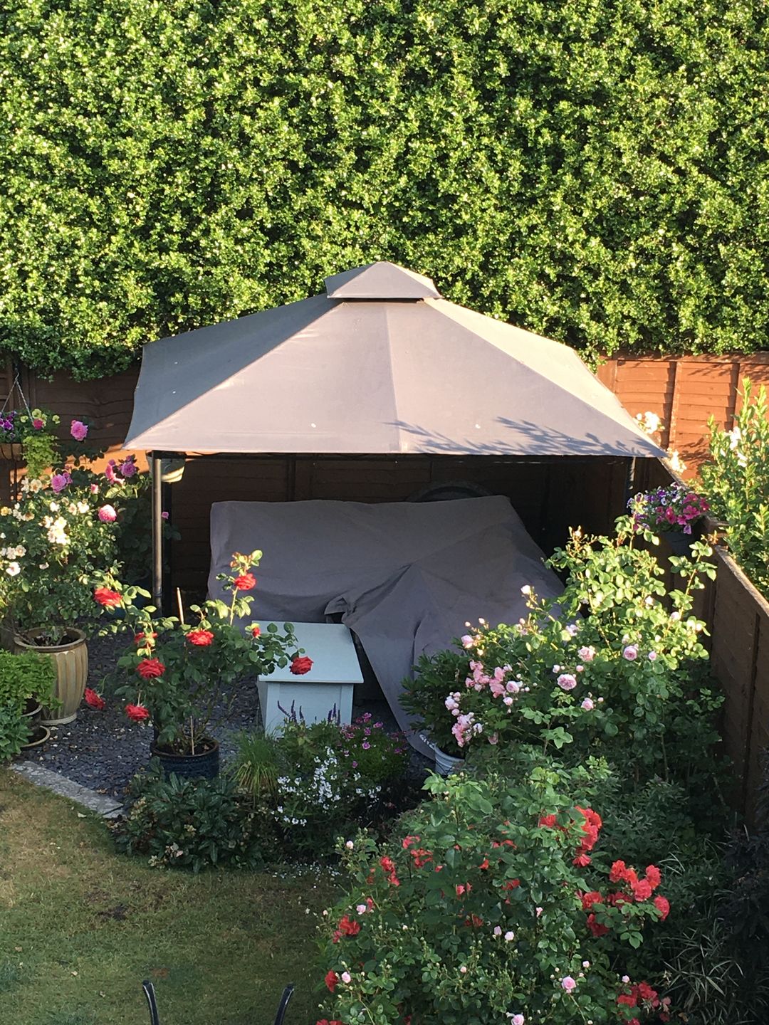 Customer photo review of Glendale Marco Polo  Gazebo Canopy