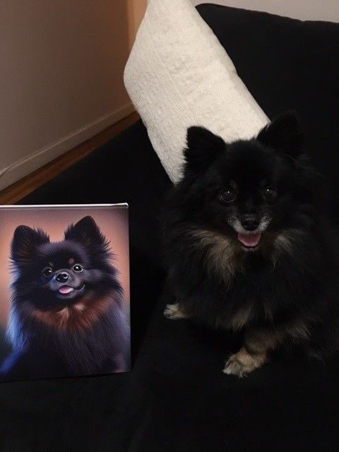 Customer photo review of Turn Your Dog Into A Cartoon Portrait