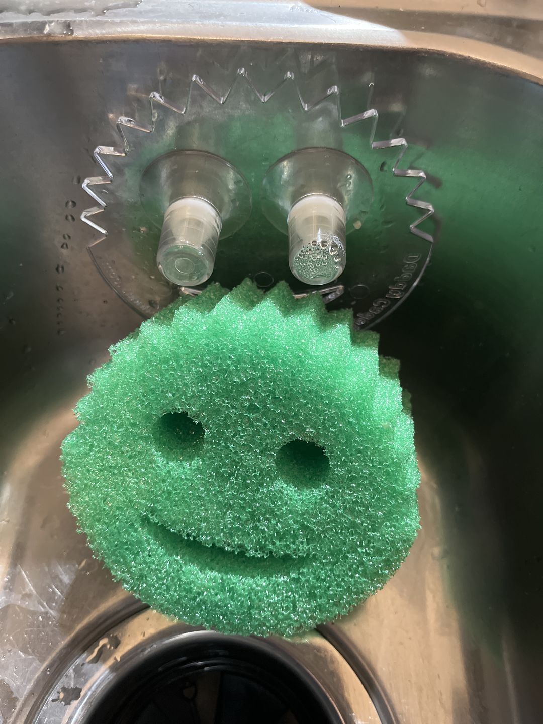 Customer photo review of Scrub Daddy Caddy