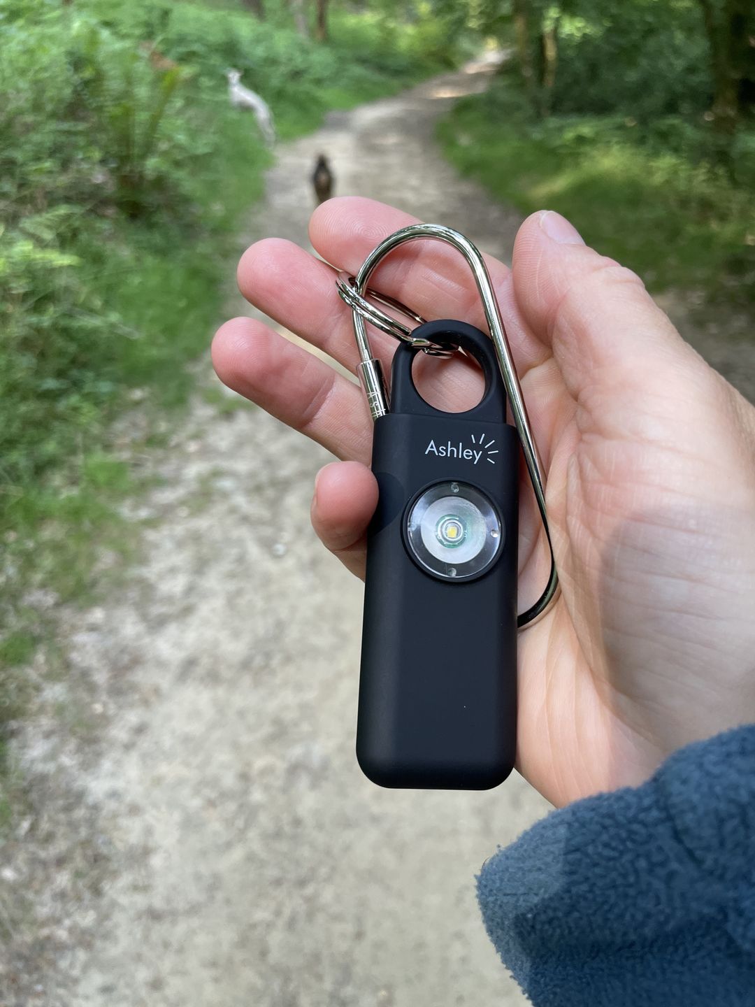 Customer photo review of The Ashley Personal Safety Alarm