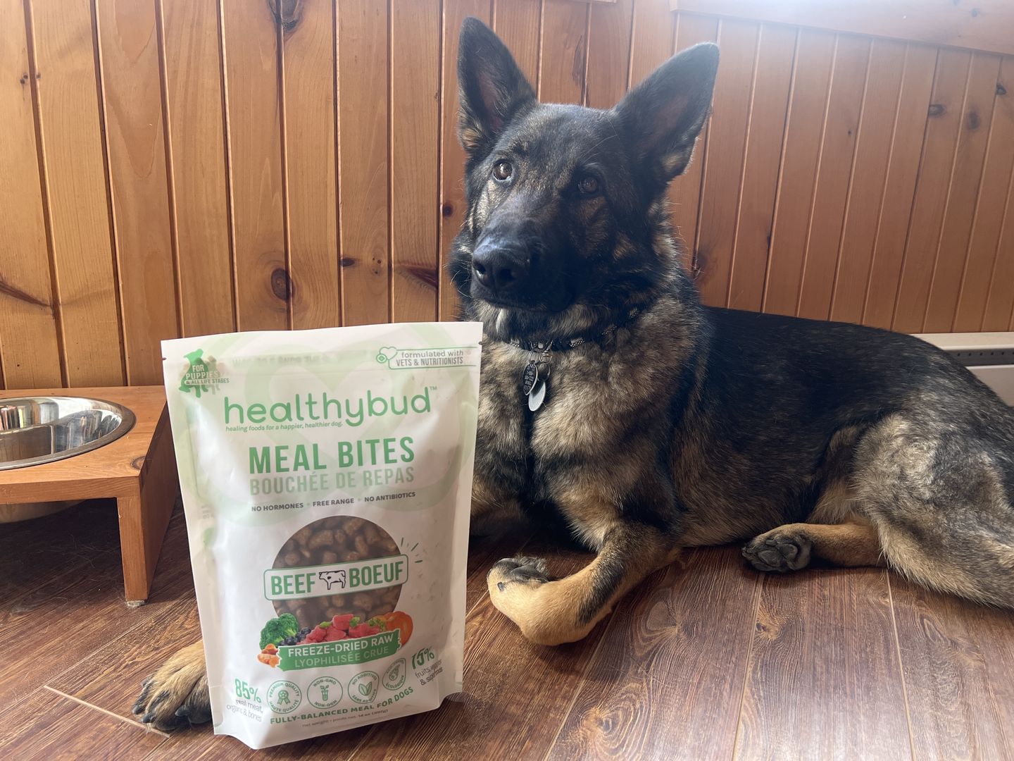 Customer photo review of Beef Meal Bites