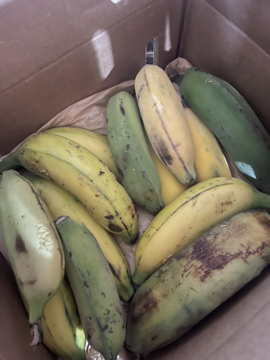 Customer photo review of Banana Variety Box