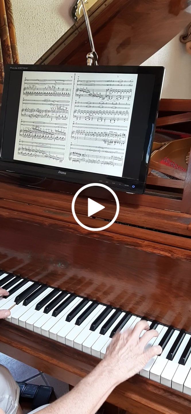 Customer video review of Donner Pédale Tourne-page Bluetooth pour tablette rechargeable