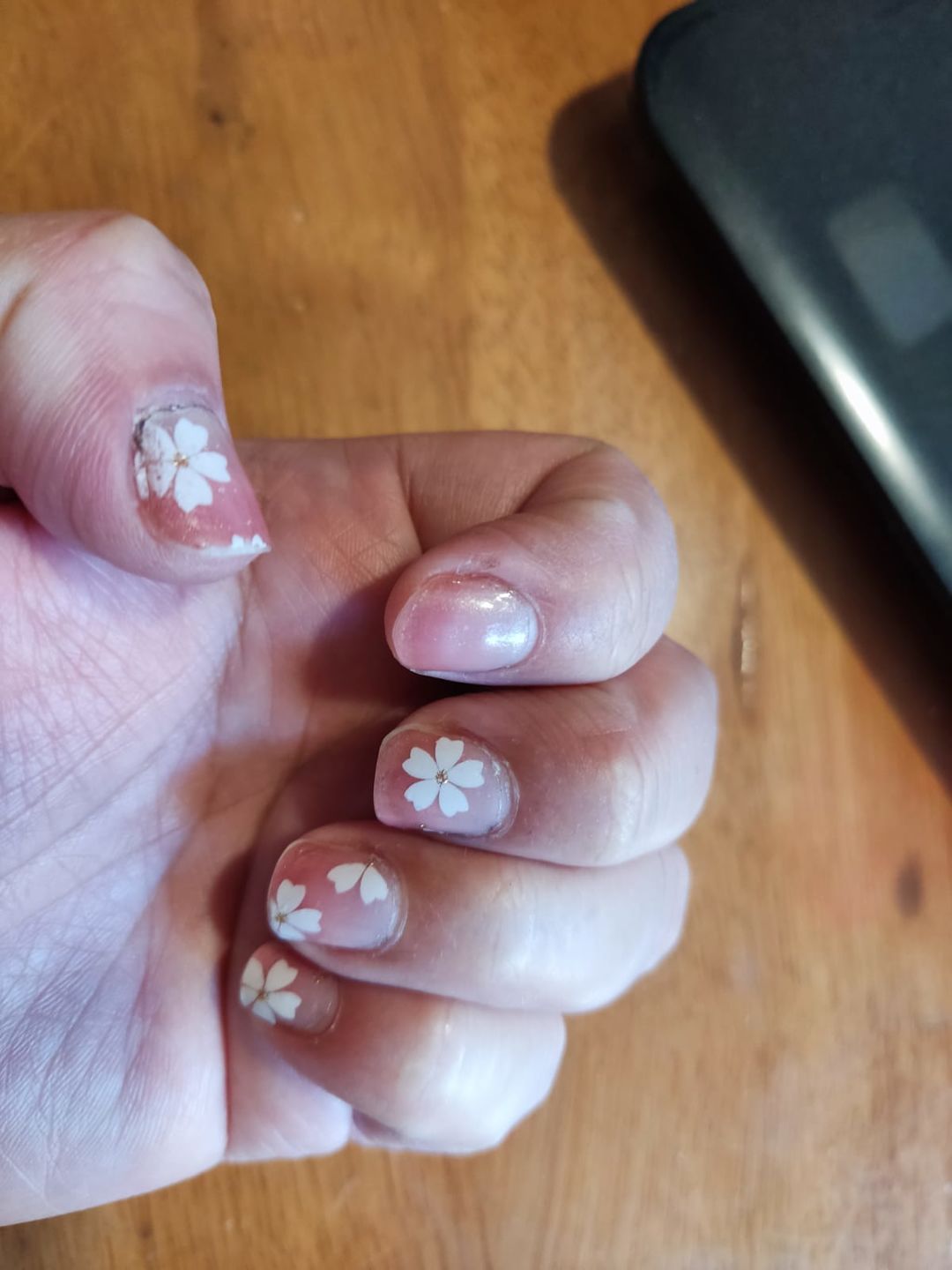 Customer photo review of Cherry Blossom
