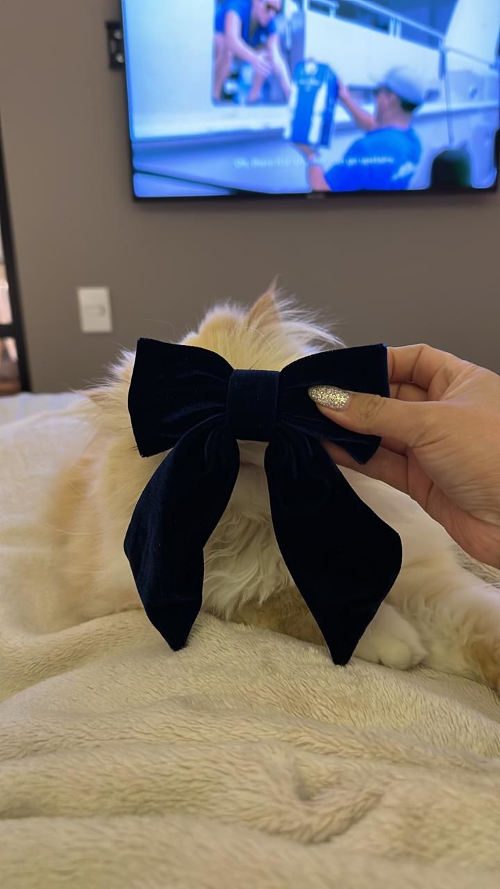Customer photo review of MOÑO - MINI LARGE VELVET BOWS