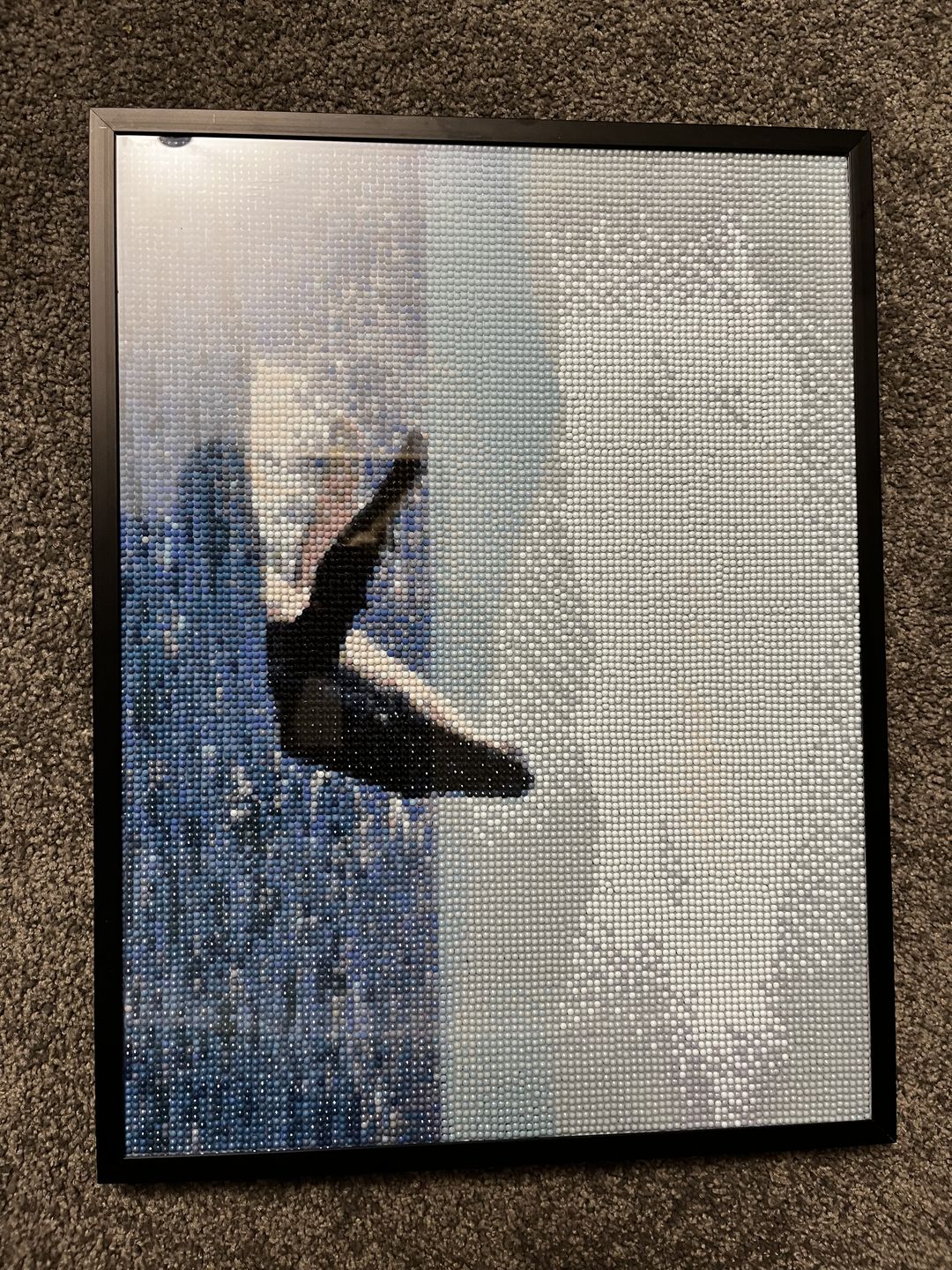Customer photo review of Custom Diamond Painting