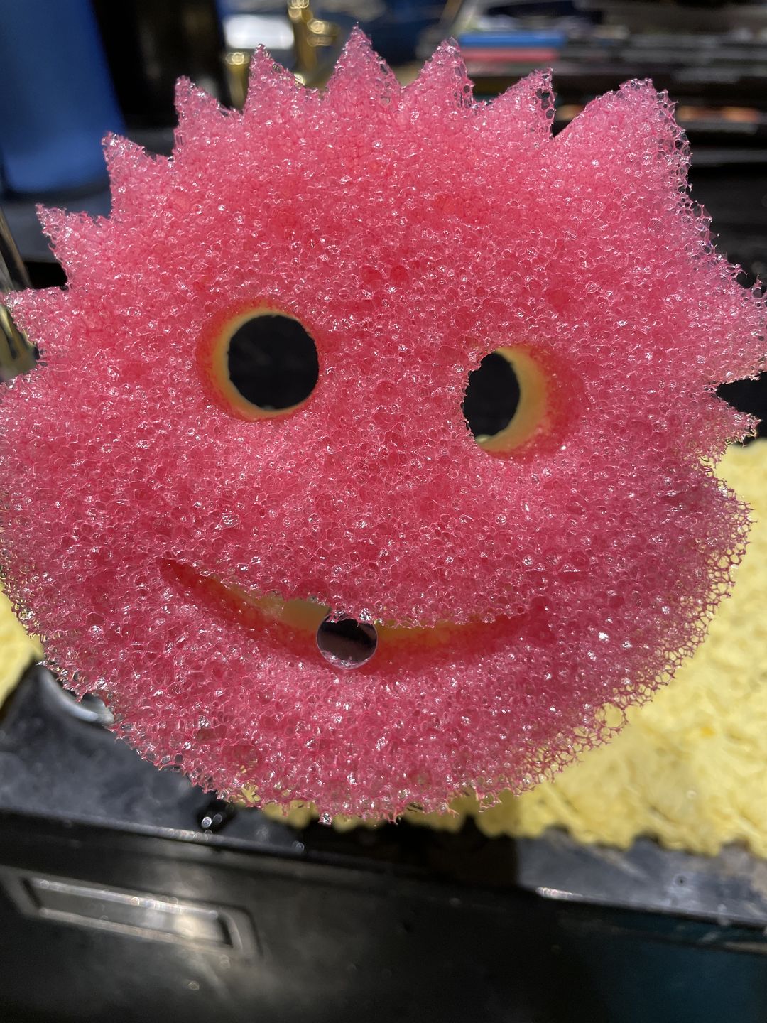 Customer photo review of Scrub Daddy Family (6 Pack)