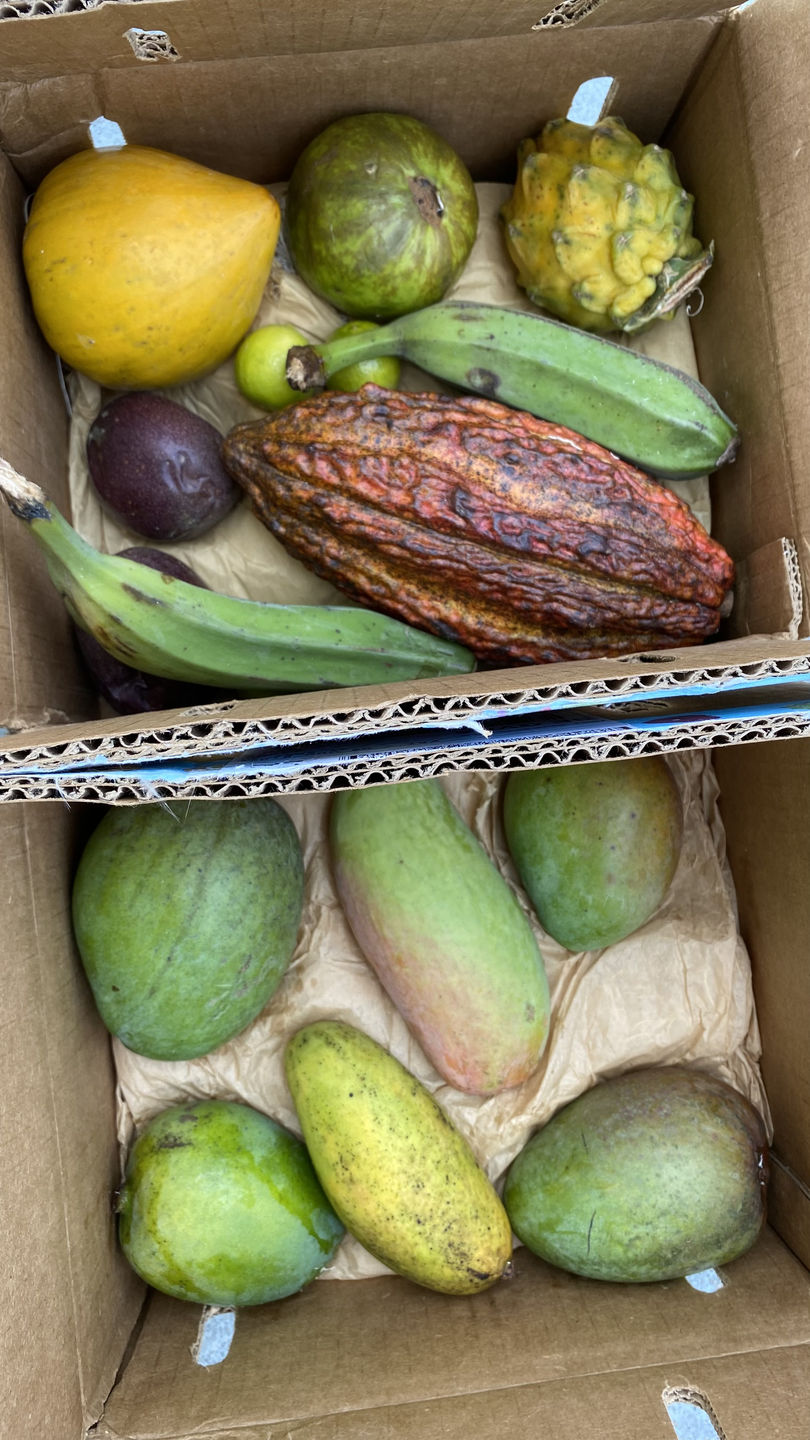 Customer photo review of Mango Mix Box