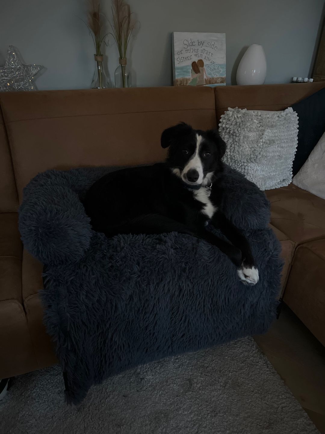 Customer photo review of *NEU* Emmalove - Flauschiges Hundebett für dein Sofa