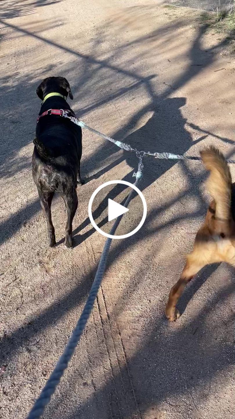 Customer video review of 6-IN-1 Cotton Rope Dog Leash