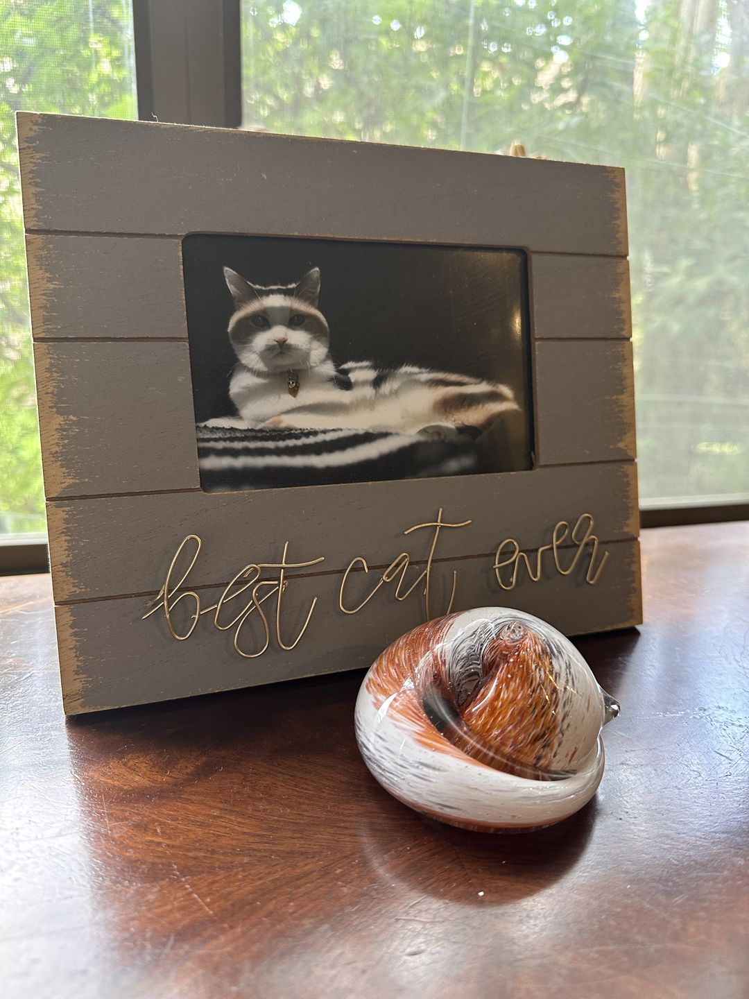 Customer photo review of Calico Sleeping Cat with Infused Cremation Ashes