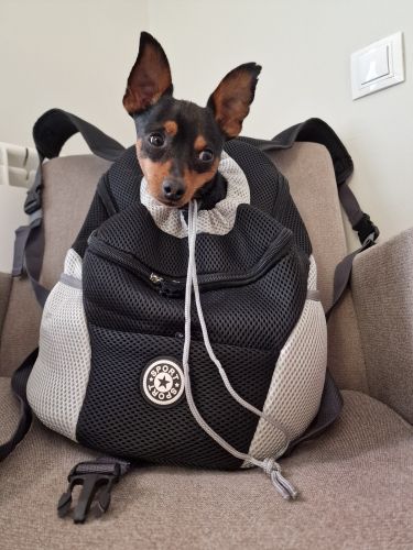 Customer photo review of Emmalove - Hunde-Rucksack