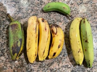 Customer photo review of Banana Variety Box