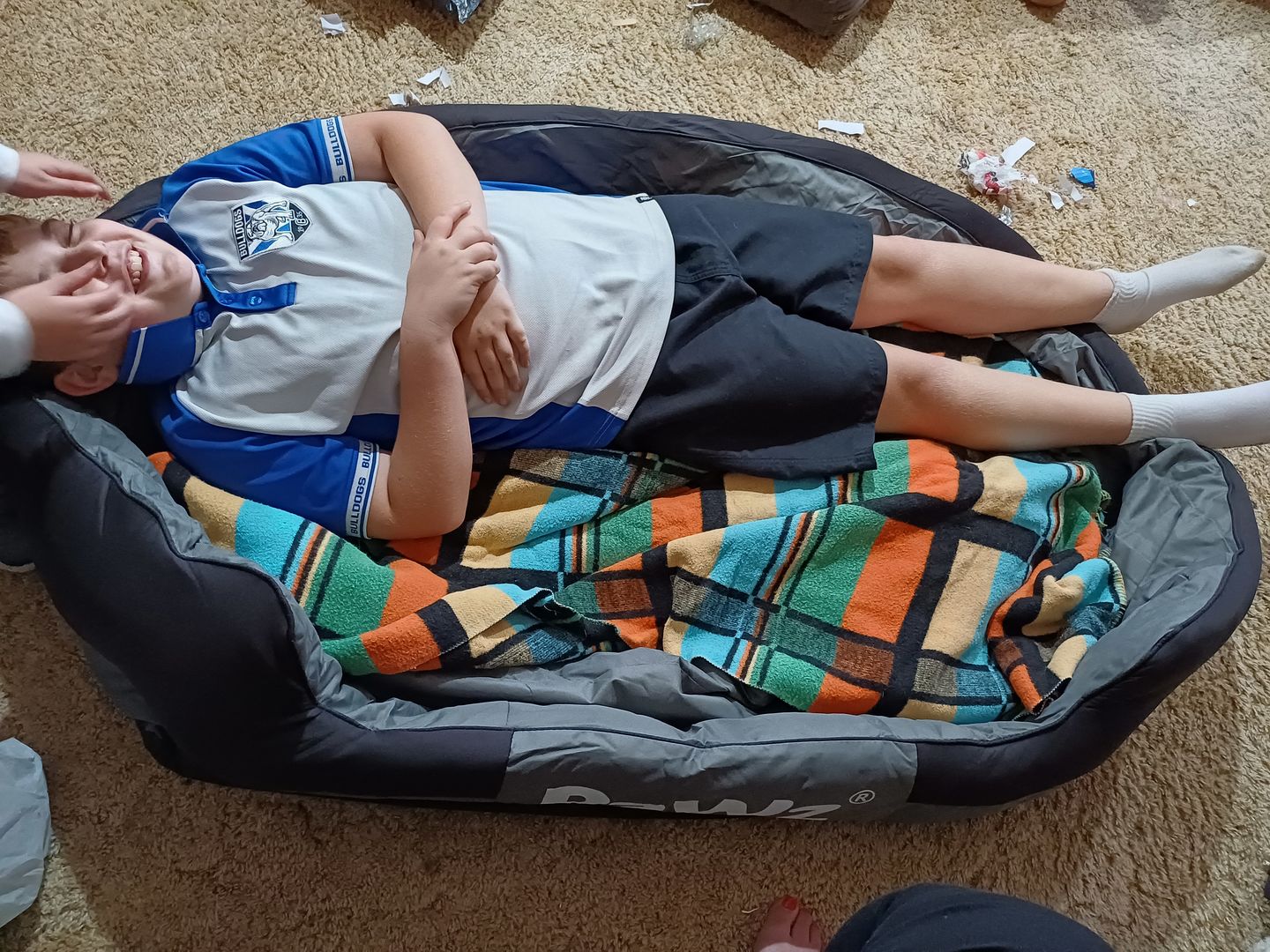 Customer photo review of PaWz waterproof heavy-duty bed