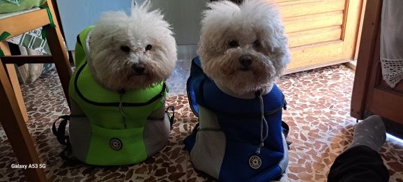 Customer photo review of Emmalove - Hunde-Rucksack