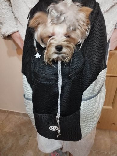 Customer photo review of Emmalove - Hunde-Rucksack