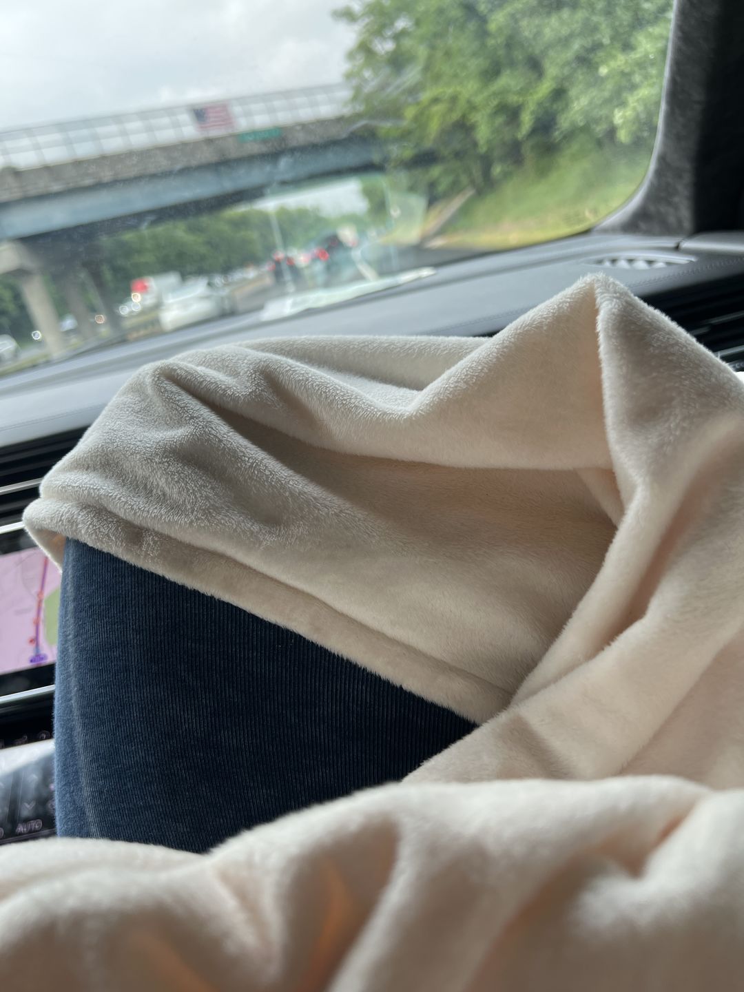 Customer photo review of BiggerBee Throw Blanket ~ Ivory