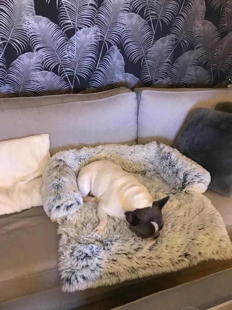Customer photo review of *NEU* Emmalove - Flauschiges Hundebett für dein Sofa