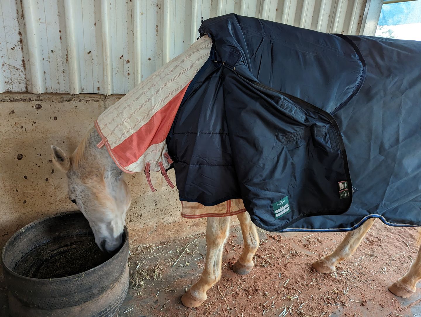 Customer photo review of Horseware XL Liner 200g