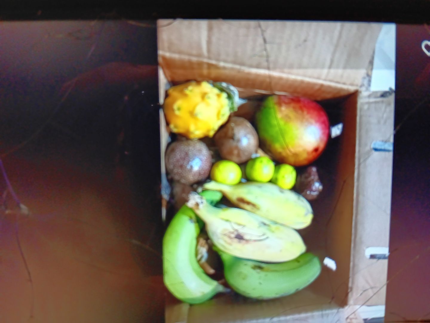 Customer photo review of Leftovers Box