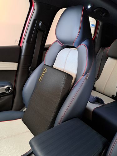 Customer photo review of Giraffe Cushion