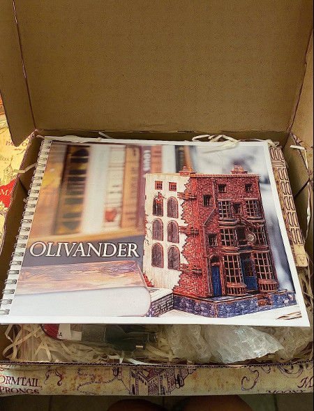 Customer photo review of Ollivanders Wand Shop Book Nook | LKWood