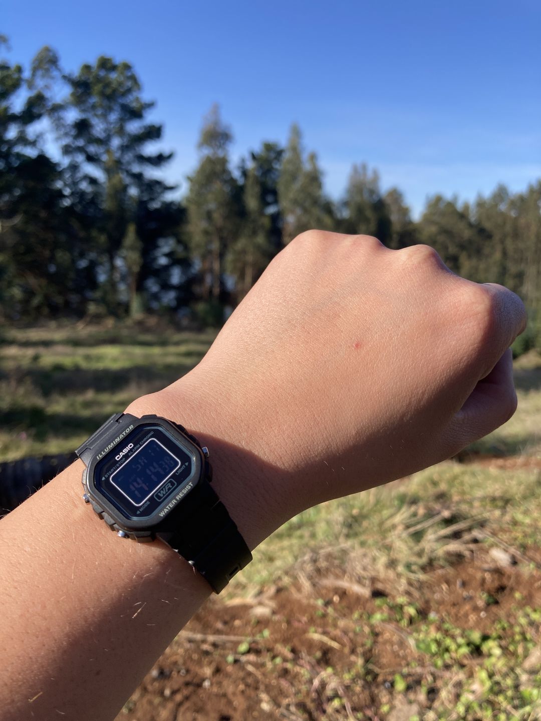Customer photo review of Reloj Casio Vintage LA-20WH-1BDF Negro
