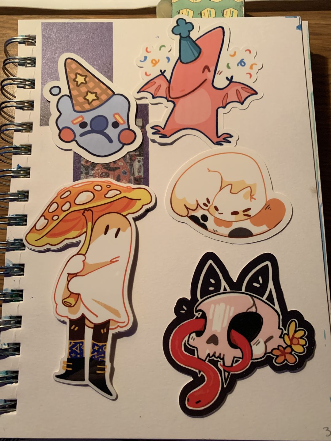 Customer photo review of Sticker Mystery Packs!