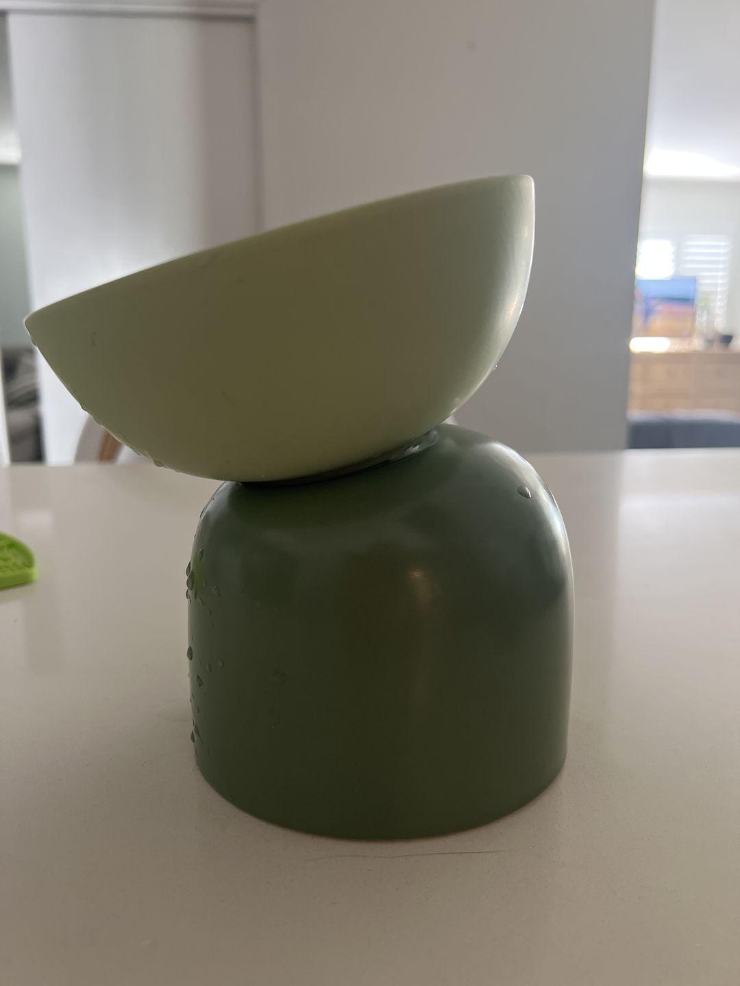 Customer photo review of Makesure Sugar Bean Ceramic Double Pet Bowls For Cat and Small Dogs