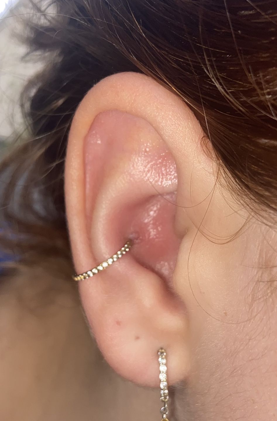 Customer photo review of Conch Clicker | Titan Piercing