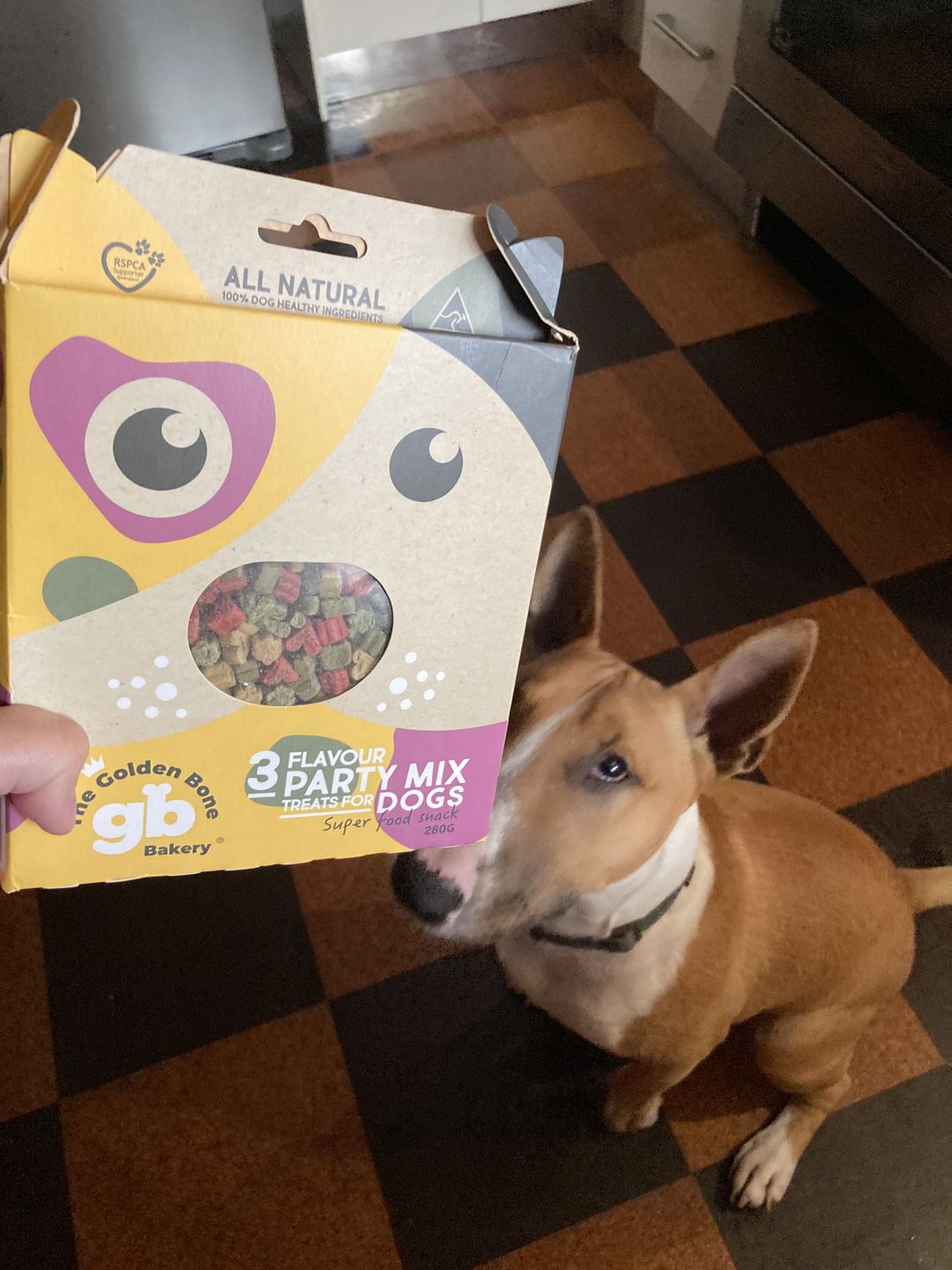 Customer photo review of 3 Flavour Mix Superfood treats