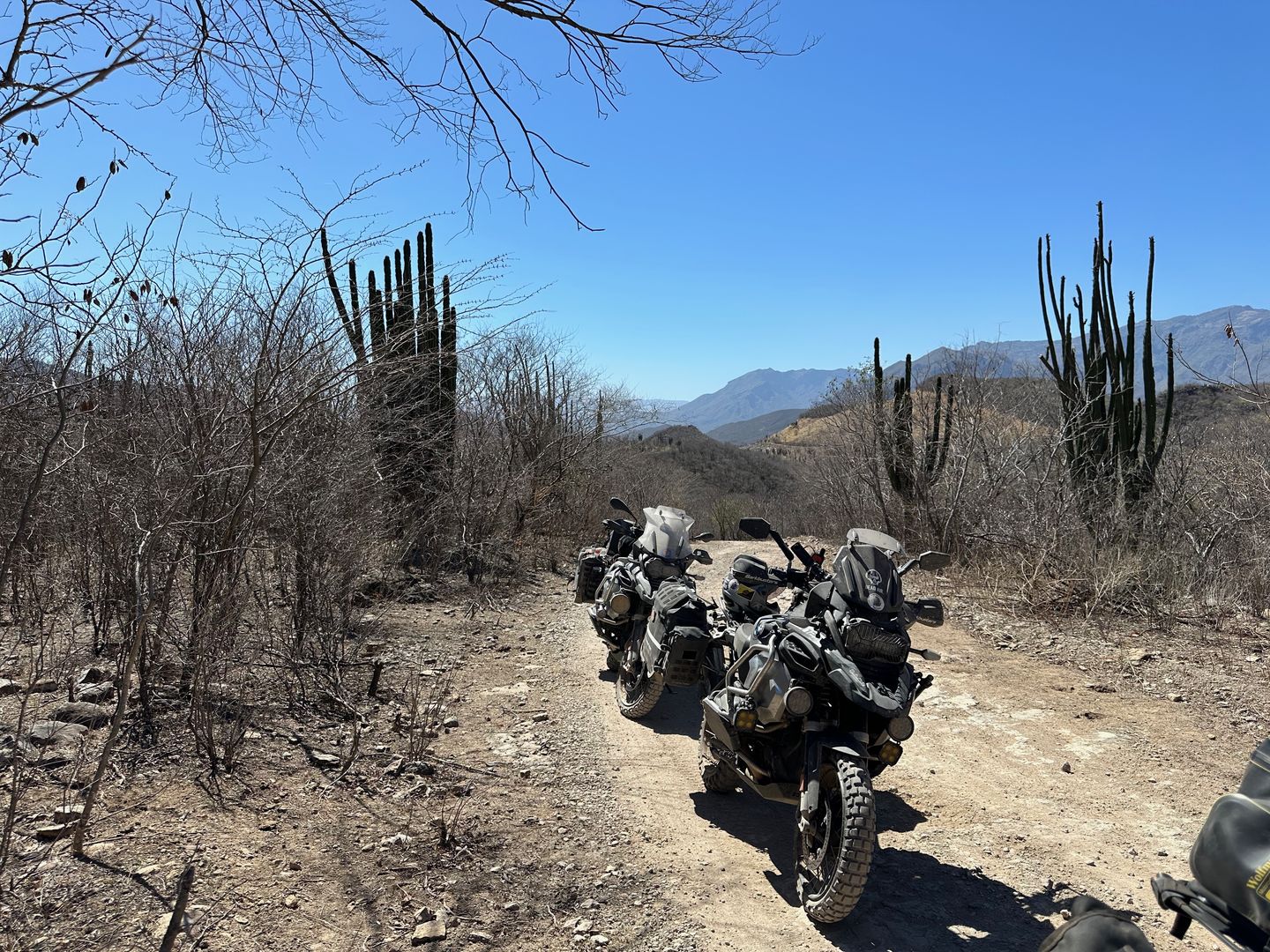 Customer photo review of MotoBag Quick Release System