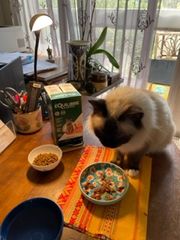 Customer photo review of Effilés au poulet, courges & agrumes (chat stérilisé et chat adulte)