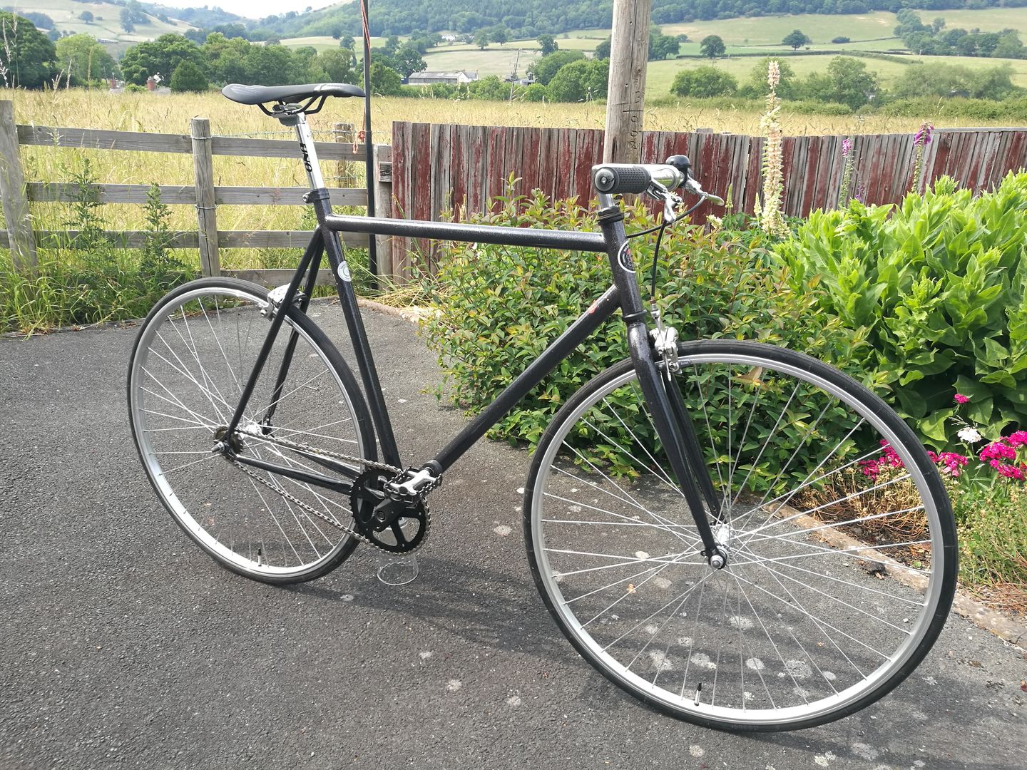 Customer photo review of Tektro Minimal FL750 Brake Levers