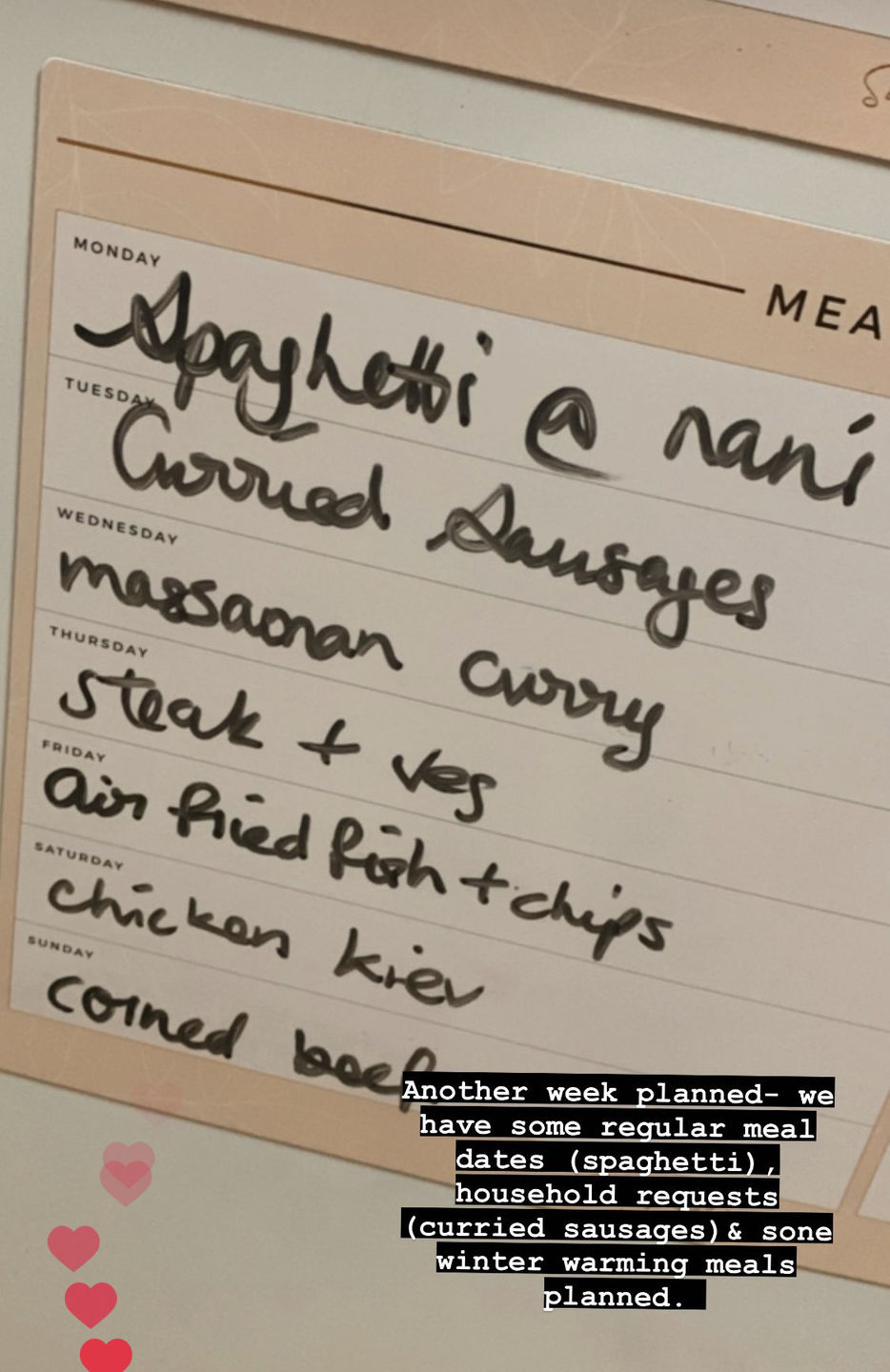 Customer photo review of NEW Beige Magnet Planner Set