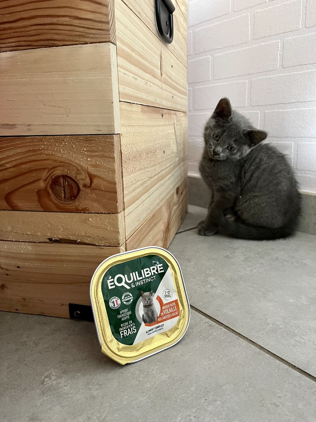 Customer photo review of Mousses riches en volaille & aux carottes (chaton)