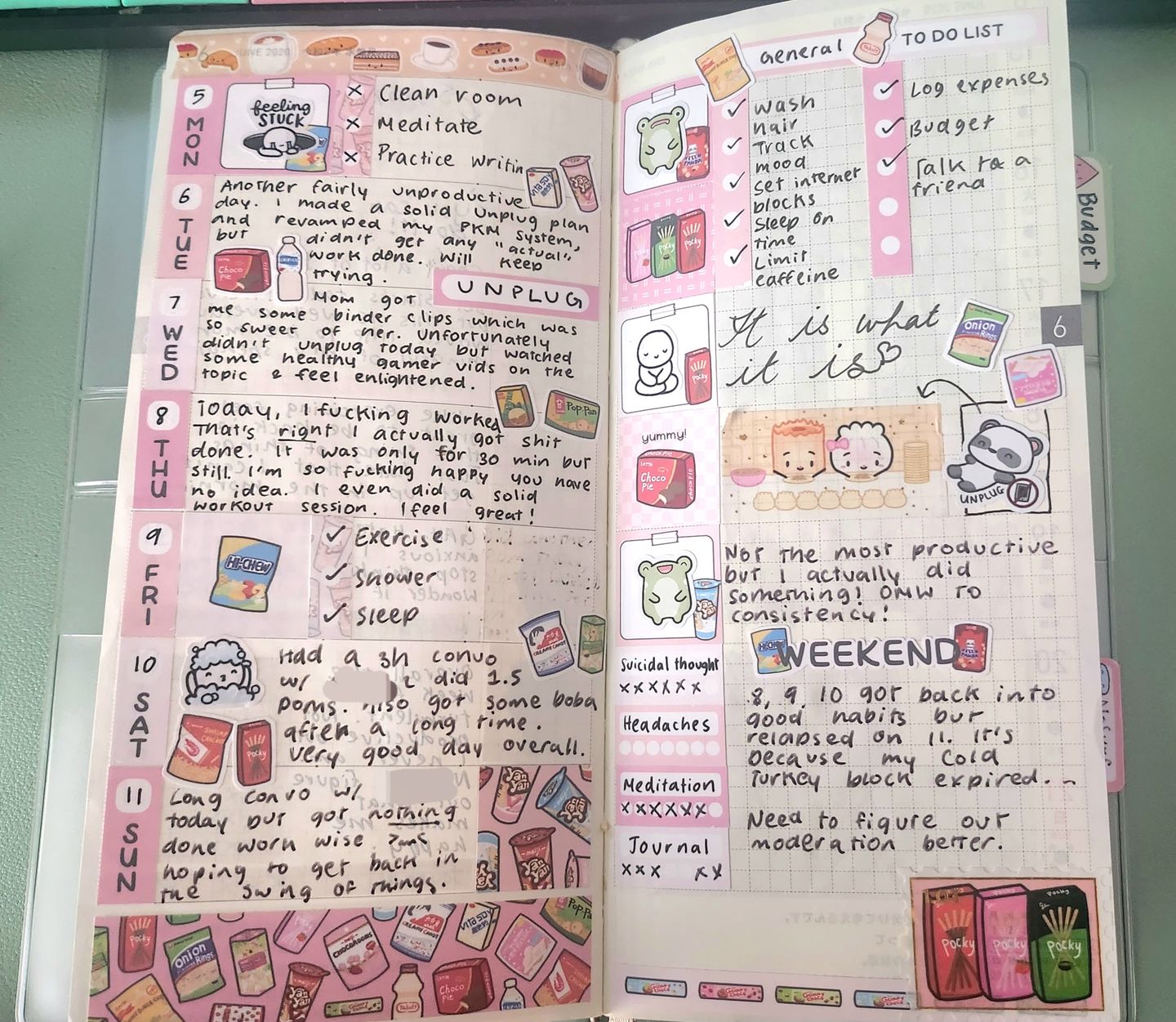 Customer photo review of Asian Snacks Theme Hobonichi Weeks kit