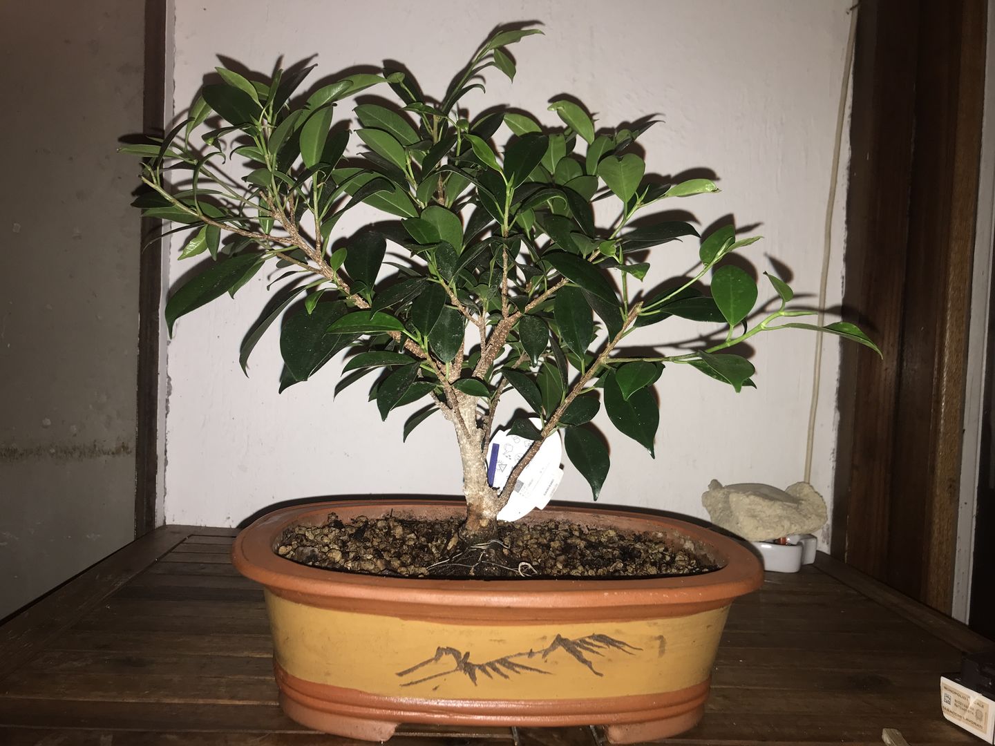 Customer photo review of TOTAL FORCE CB® X2