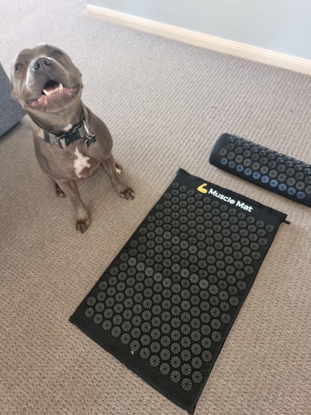 Customer photo review of Muscle Mat Luxury Acupressure Mat With Pillow