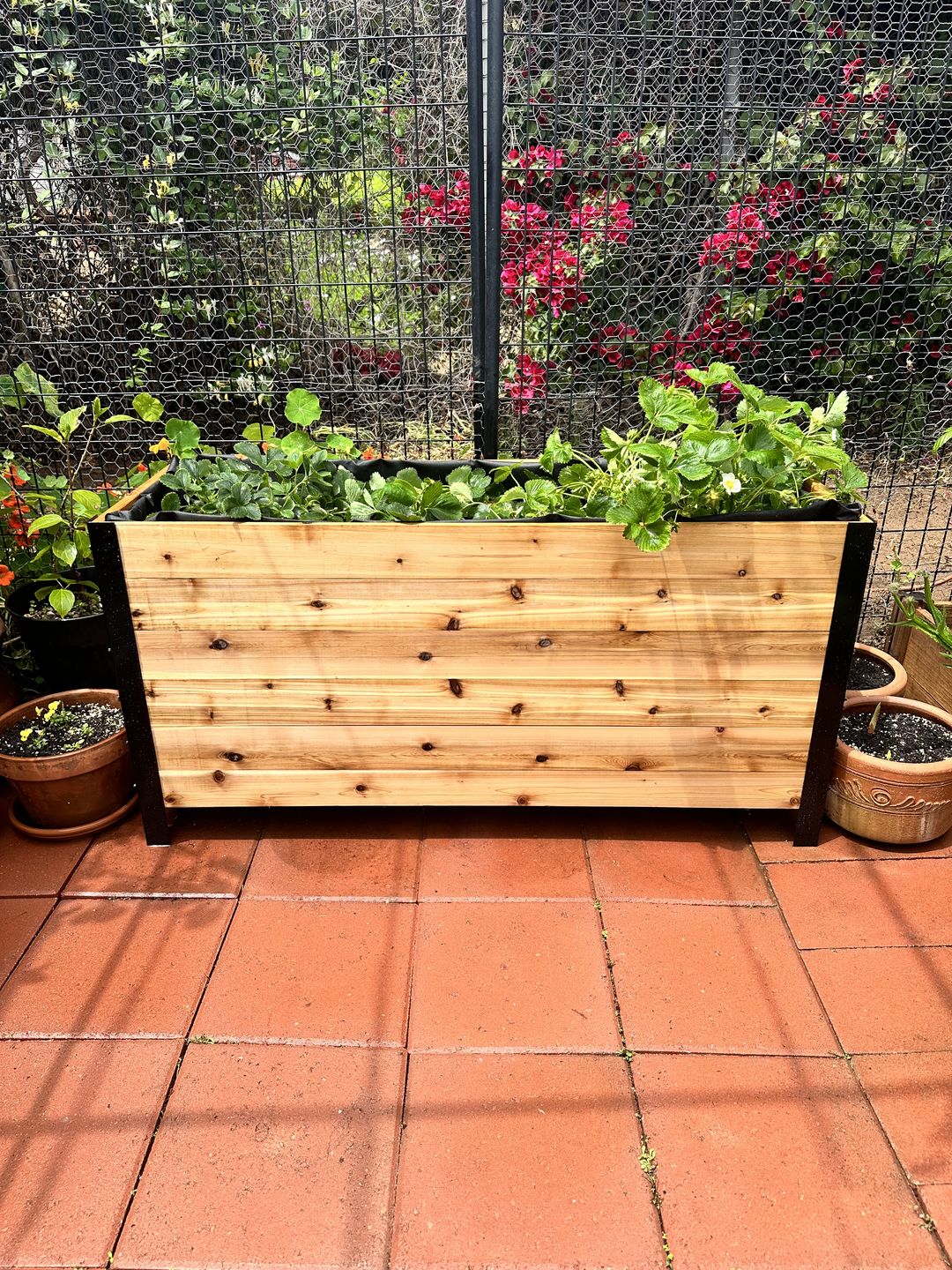 Customer photo review of Planter Box - 46cm x 122cm x 61cm