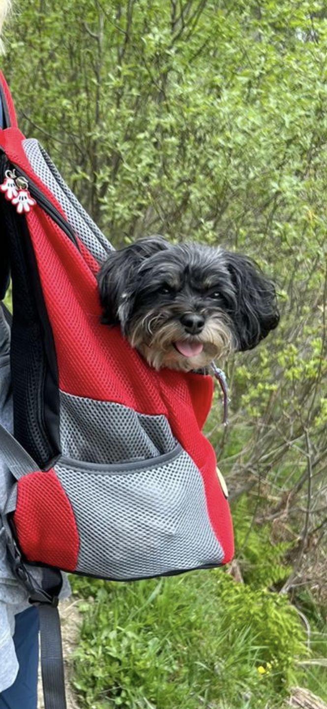 Customer photo review of Emmalove - Hunde-Rucksack