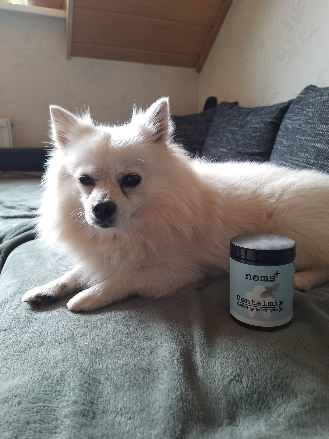 Customer photo review of Dentalmix für Hunde zur Zahnpflege und für frischen Atem